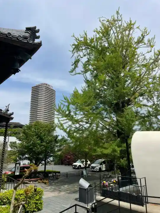 浄土寺の{uncategorized: "未分類", other: "その他", undefined: "問題あり", building: "その他建物", grave: "お墓", sacred_gate: "鳥居", guardian: "狛犬", statue: "像", buddha: "仏像", history: "歴史", nature: "自然", garden: "庭園", animal: "動物", pagoda: "塔", temizu: "手水舎", mountain_gate: "山門・神門", sanctuary: "本殿・本堂", subordinate: "末社・摂社", art: "芸術", scenery: "景色", jizo: "地蔵", ema: "絵馬", goshuin: "御朱印", omikuji: "おみくじ", items: "授与品その他", amulet: "お守り", goshuincho: "御朱印帳", eats: "食事", festival: "お祭り", votive_dance: "神楽", shichigosan: "七五三参", wedding: "結婚式", experience: "体験その他", initially: "初詣", around: "周辺", anti_infection: "感染症対策"}