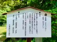 土津神社|こどもと出世の神さまの歴史