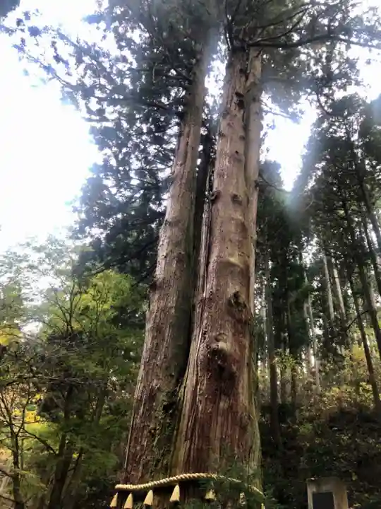 御岩神社の自然