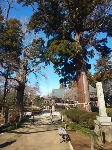 六地蔵寺の庭園