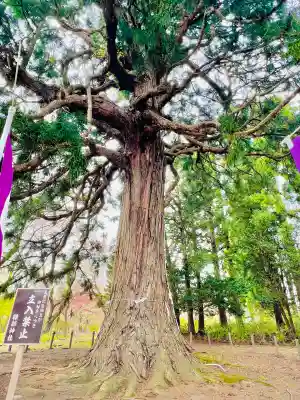 糠部神社(青森県)