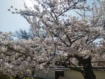 醍醐寺(京都府)