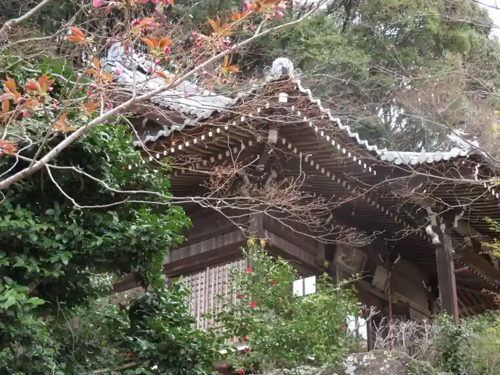 勝持寺(花の寺)の本殿・本堂