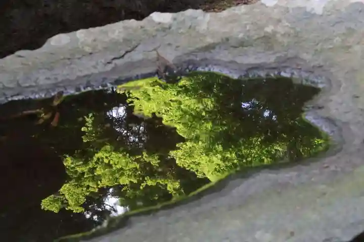 鹿島大神宮の手水舎