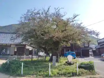 浄源坊(香川県)