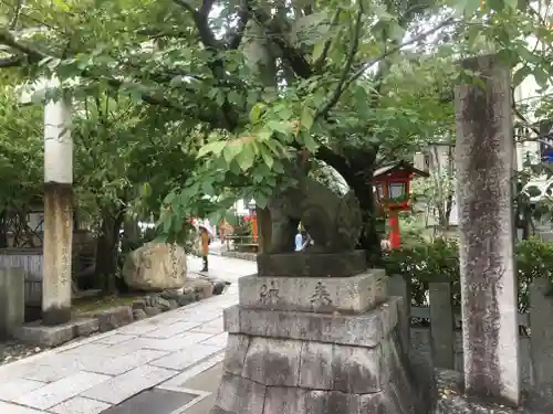 安井金比羅宮の狛犬