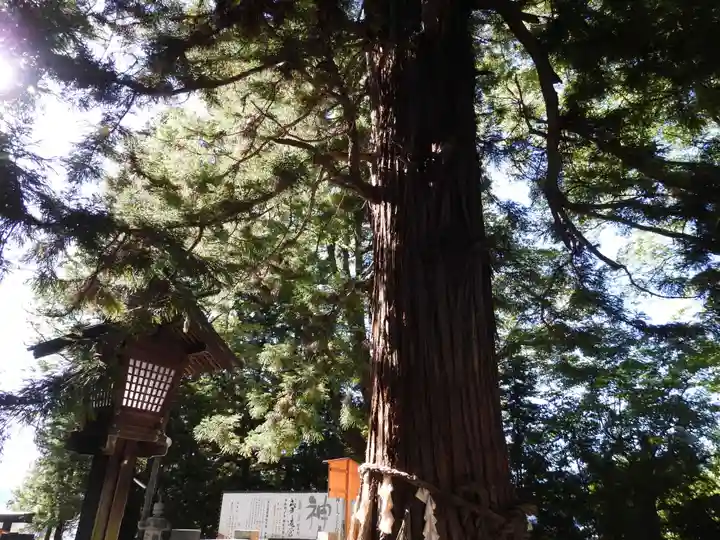 諏訪大社下社秋宮(長野県)