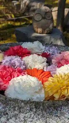 勝林寺(京都府)