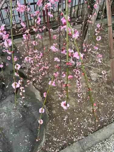 武蔵第六天神社(埼玉県)