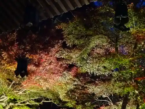 長谷寺(神奈川県)