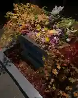 滑川神社 - 仕事と子どもの守り神の手水舎