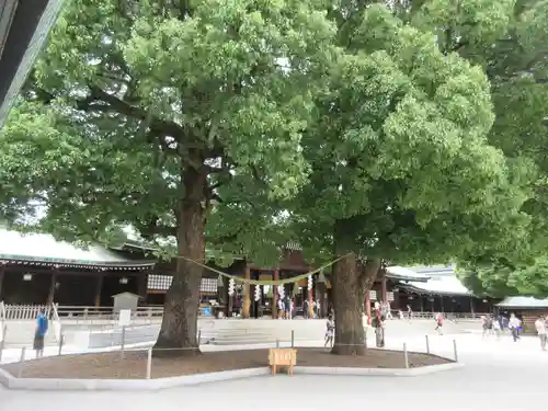 明治神宮の自然