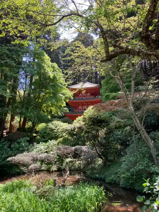 岩船寺(京都府)