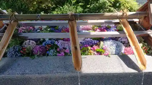 豊景神社の手水