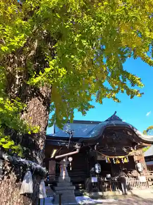菊田神社(千葉県)