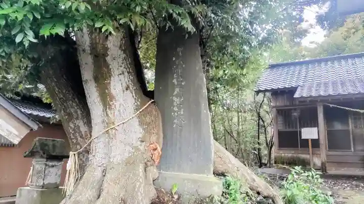 竹内神社(千葉県)