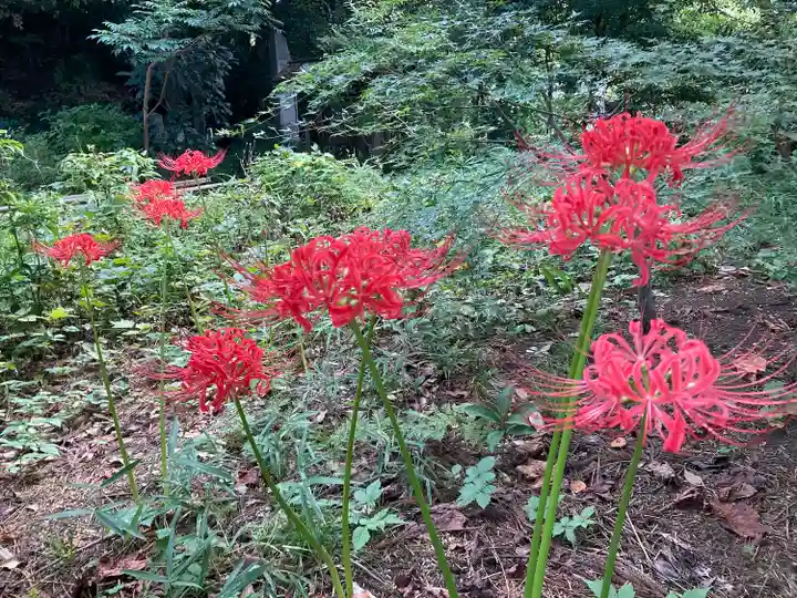 深大寺(東京都)