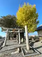 金刀比羅神社(滋賀県)