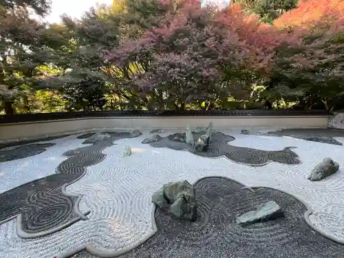 龍吟庵（竜吟庵）(京都府)