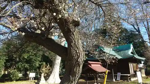 酒門神社の自然