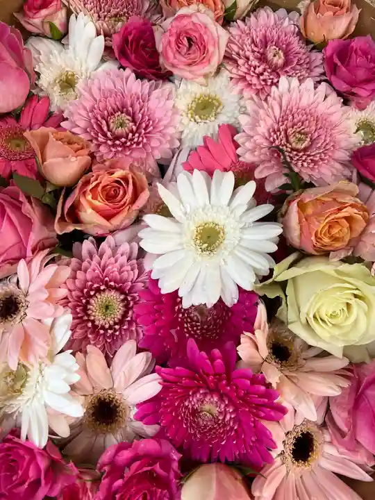 彌都加伎神社の手水舎