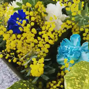 豊景神社の自然(2022年03月12日(土) 08時36分20秒投稿)