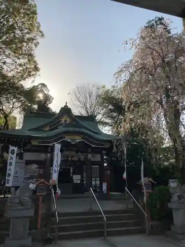 川越八幡宮の本殿