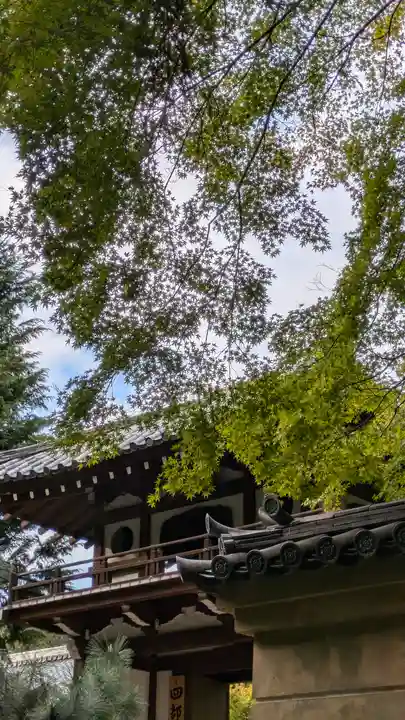 龍翔寺(萬歳龍翔禅寺)(京都府)