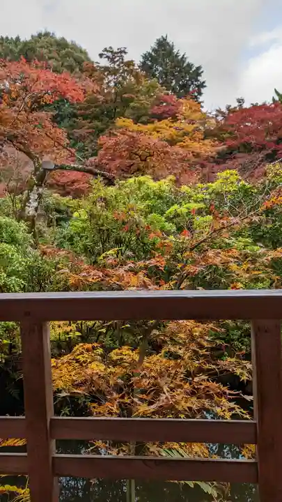 実相院門跡(京都府)
