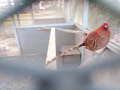 武蔵國八海山神社(埼玉県)