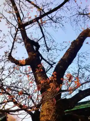 荏原神社(東京都)