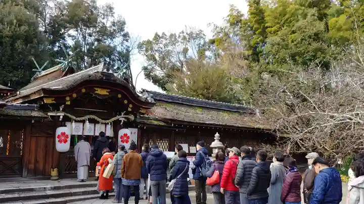 平野神社の初詣