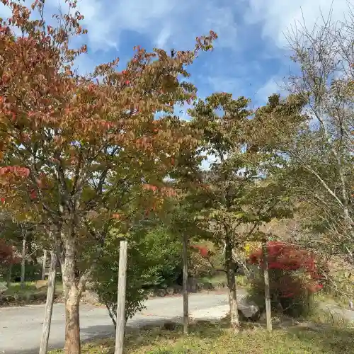 興福院お玉観音堂(神奈川県)