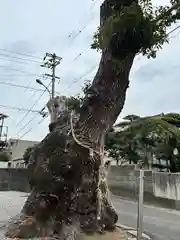 楠川神社(香川県)