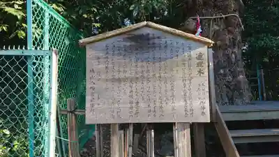 城山八幡宮の歴史