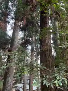 大宮温泉神社(栃木県)(2023年03月12日(日) 07時45分08秒投稿)