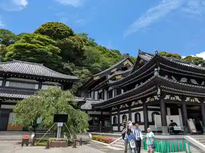 長谷寺(神奈川県)