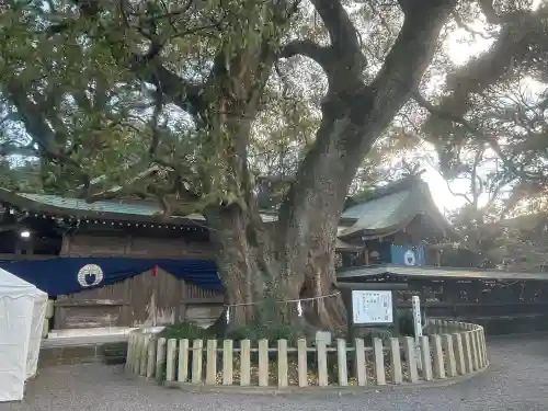 春日神社の{uncategorized: "未分類", other: "その他", undefined: "問題あり", building: "その他建物", grave: "お墓", sacred_gate: "鳥居", guardian: "狛犬", statue: "像", buddha: "仏像", history: "歴史", nature: "自然", garden: "庭園", animal: "動物", pagoda: "塔", temizu: "手水舎", mountain_gate: "山門・神門", sanctuary: "本殿・本堂", subordinate: "末社・摂社", art: "芸術", scenery: "景色", jizo: "地蔵", ema: "絵馬", goshuin: "御朱印", omikuji: "おみくじ", items: "授与品その他", amulet: "お守り", goshuincho: "御朱印帳", eats: "食事", festival: "お祭り", votive_dance: "神楽", shichigosan: "七五三参", wedding: "結婚式", experience: "体験その他", initially: "初詣", around: "周辺", anti_infection: "感染症対策"}
