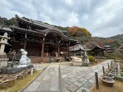三室戸寺(京都府)