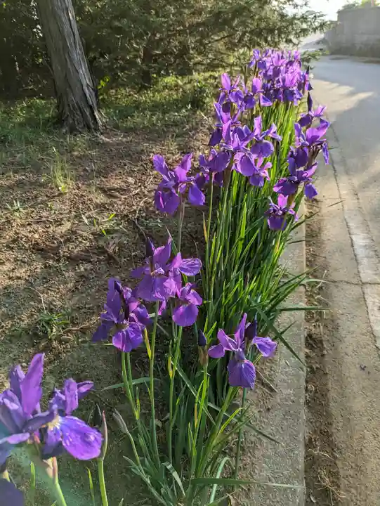 伏木香取神社(茨城県)