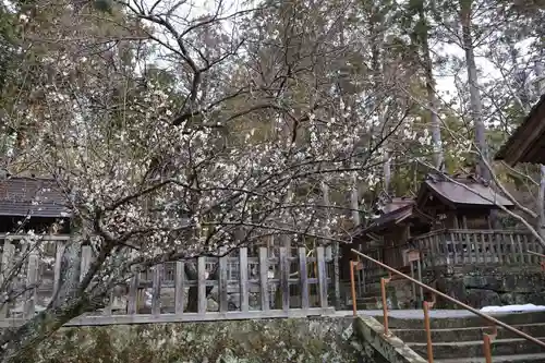 出雲大社神楽殿(島根県)