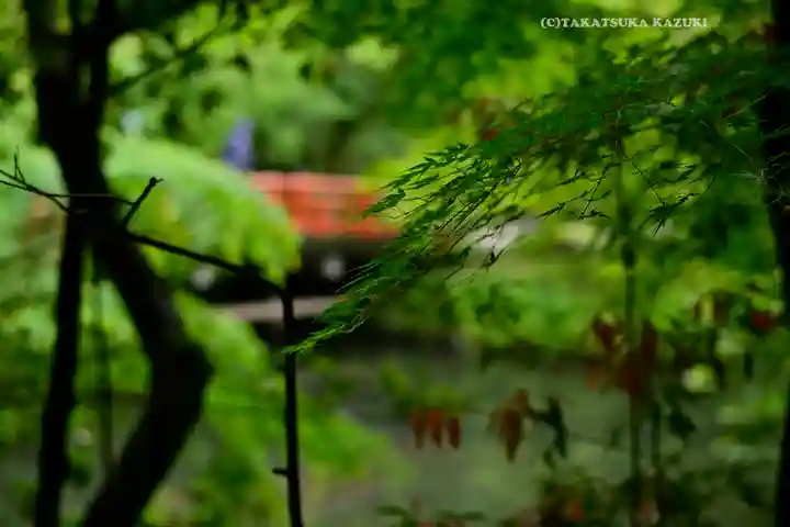 鶴岡八幡宮(神奈川県)