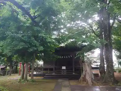 神山氷川神社の本殿・本堂