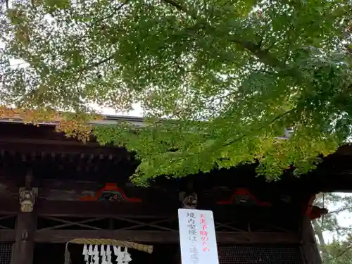 岩殿山安楽寺（吉見観音）の山門・神門