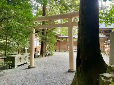 宝登山神社(埼玉県)