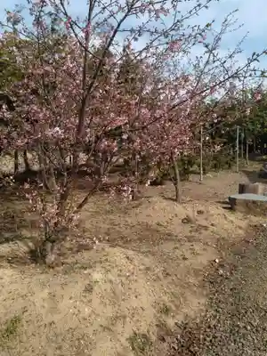 白山姫神社(宮城県)