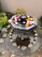 神楽坂安養寺の{uncategorized: "未分類", other: "その他", undefined: "問題あり", building: "その他建物", grave: "お墓", sacred_gate: "鳥居", guardian: "狛犬", statue: "像", buddha: "仏像", history: "歴史", nature: "自然", garden: "庭園", animal: "動物", pagoda: "塔", temizu: "手水舎", mountain_gate: "山門・神門", sanctuary: "本殿・本堂", subordinate: "末社・摂社", art: "芸術", scenery: "景色", jizo: "地蔵", ema: "絵馬", goshuin: "御朱印", omikuji: "おみくじ", items: "授与品その他", amulet: "お守り", goshuincho: "御朱印帳", eats: "食事", festival: "お祭り", votive_dance: "神楽", shichigosan: "七五三参", wedding: "結婚式", experience: "体験その他", initially: "初詣", around: "周辺", anti_infection: "感染症対策"}