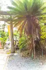 朝峯神社(高知県)