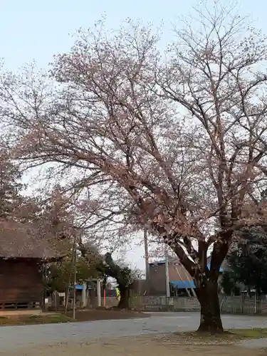 伏木香取神社の景色