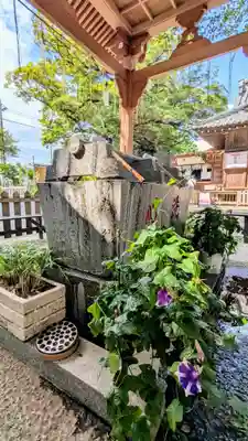大宮・大原神社の手水舎